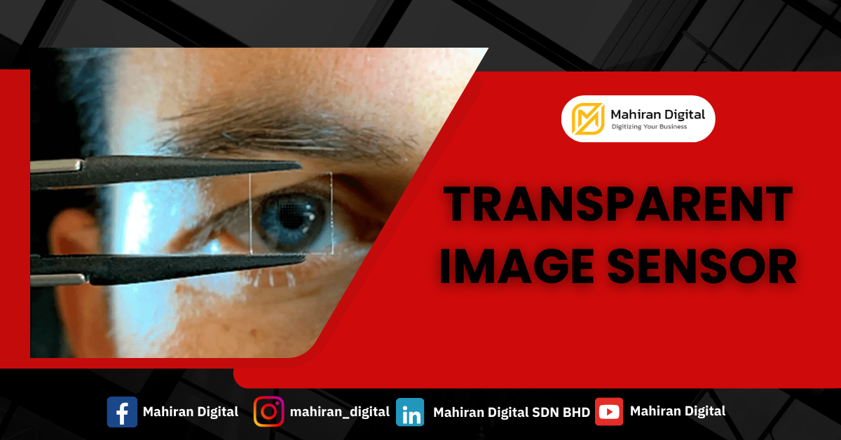 Transparent Image Sensor